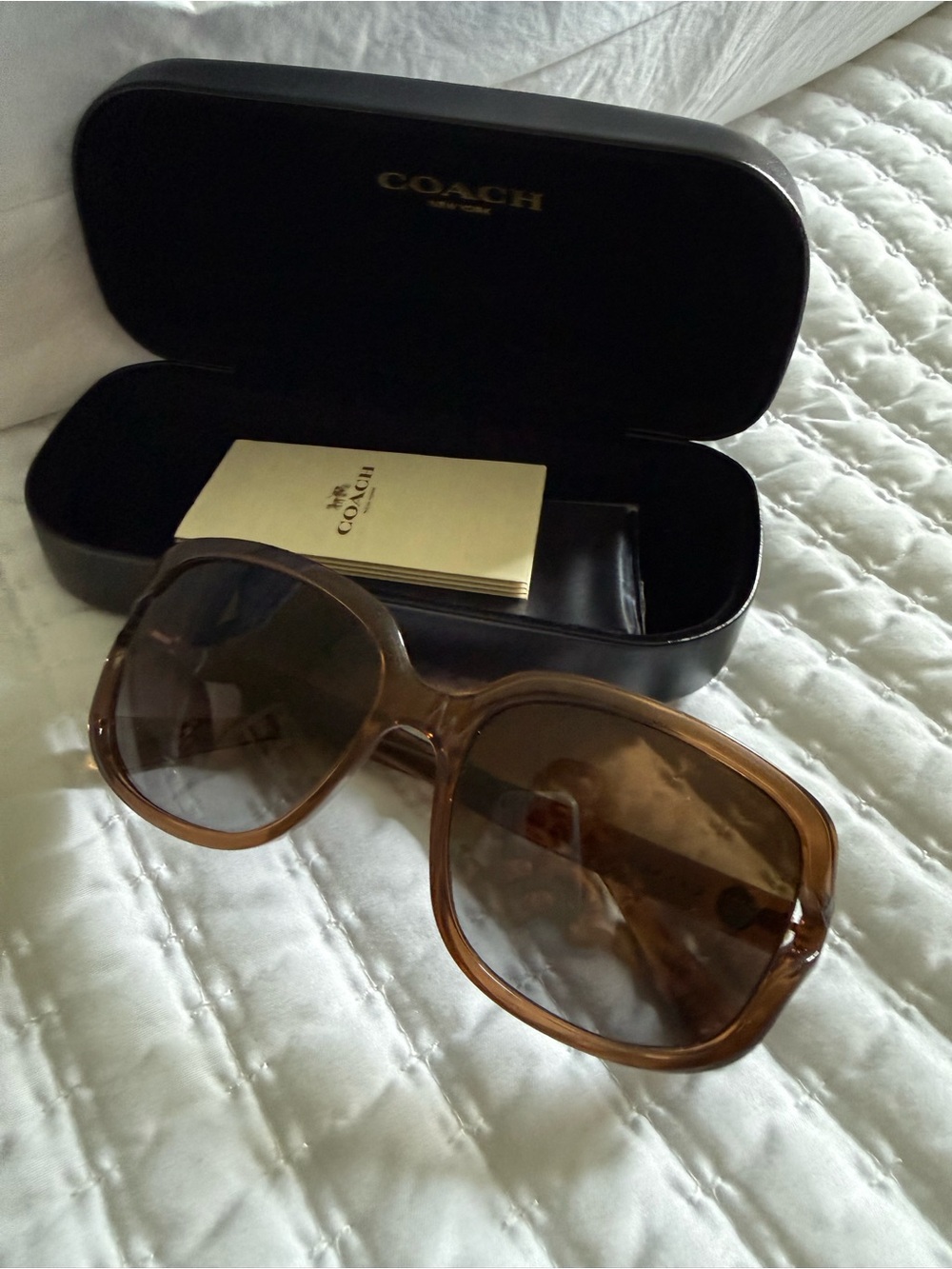 COACH Women's Light Brown Gradient Oversized Sunglasses